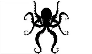 대왕문어가 내 몸을 휘감는꿈