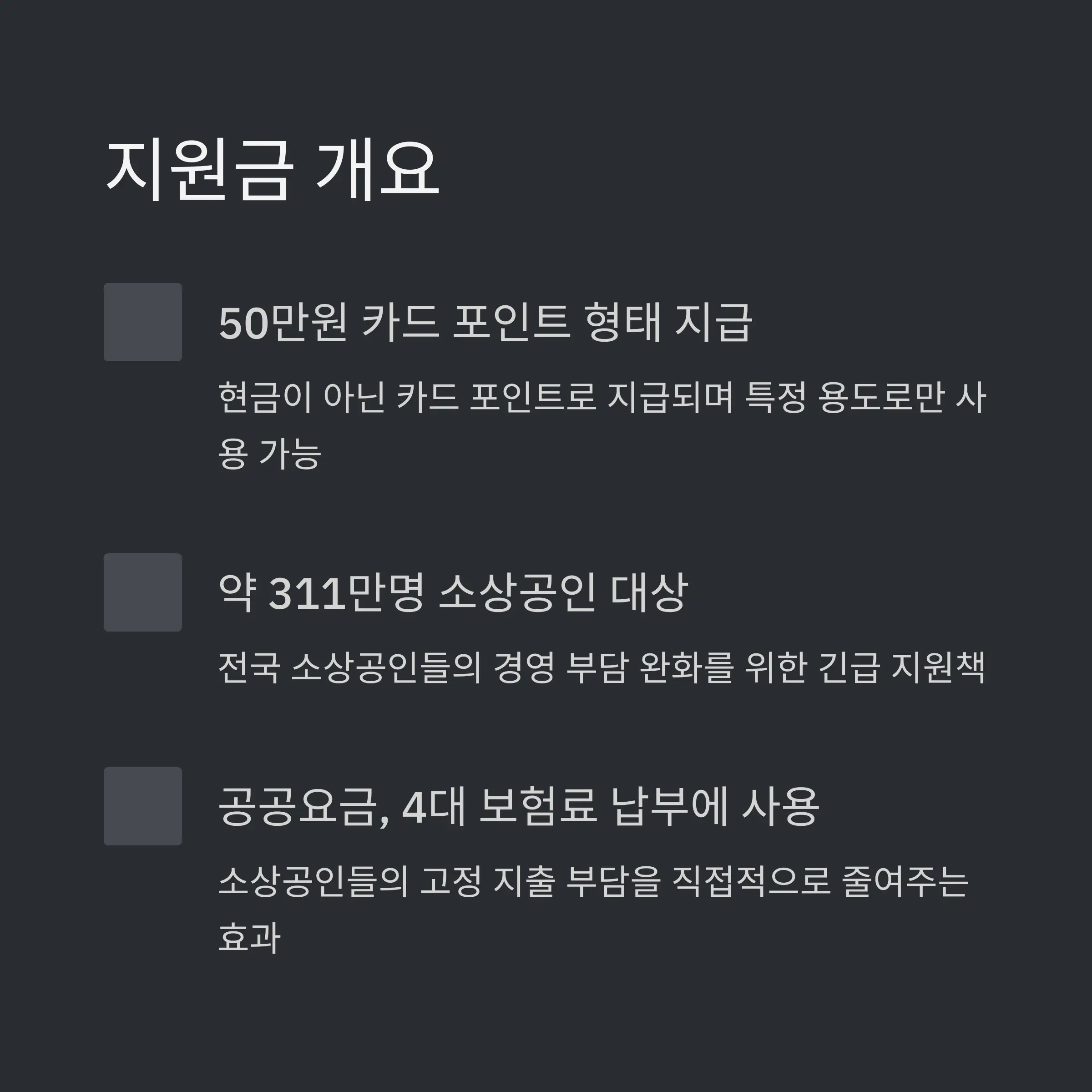 🏪 소상공인 지원금 개요