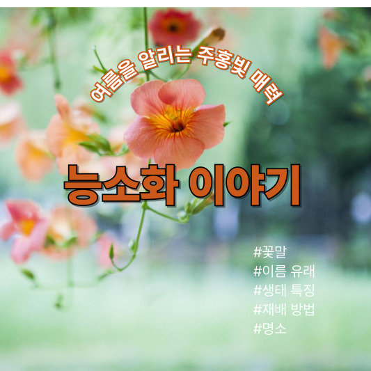 능소화 - 꽃말, 이름 유래, 특징, 재배 방법, 명소