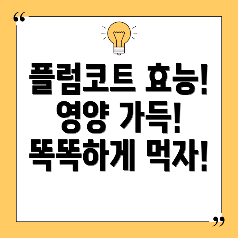 플럼코트