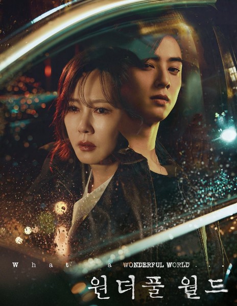 원작 없는 드라마 원더풀 월드 몇부작 | 인물관계도 | 줄거리 | 결말 | 재방송시간 | 등장인물 김남주 차은우