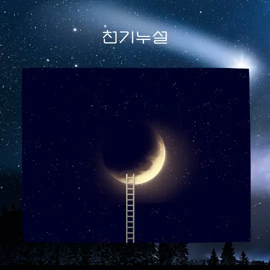 똥꿈 꿈해몽