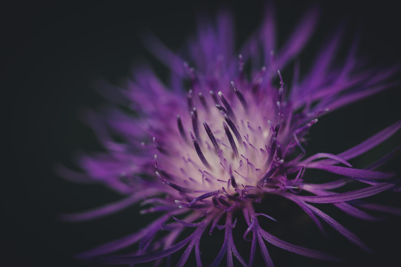 족저근막염 증상 5가지 : 아침 통증, 발뒤꿈치 통증의 원인