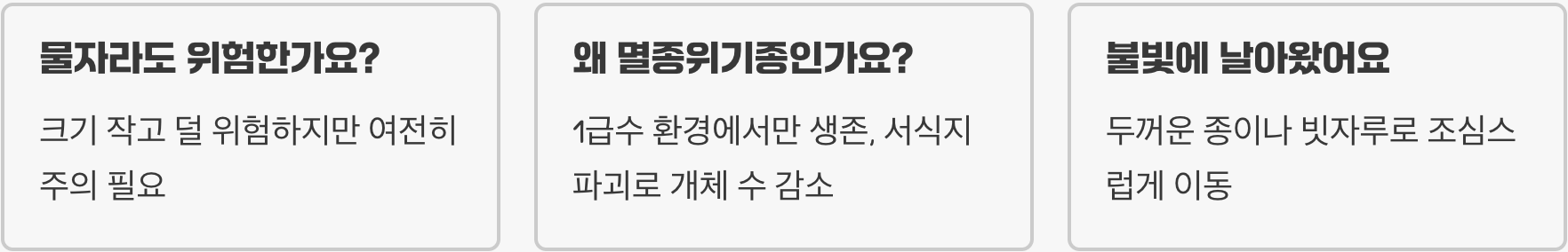 물장군 만져도 되나요? 물리면 얼마나 아플까? (독성과 위험성)