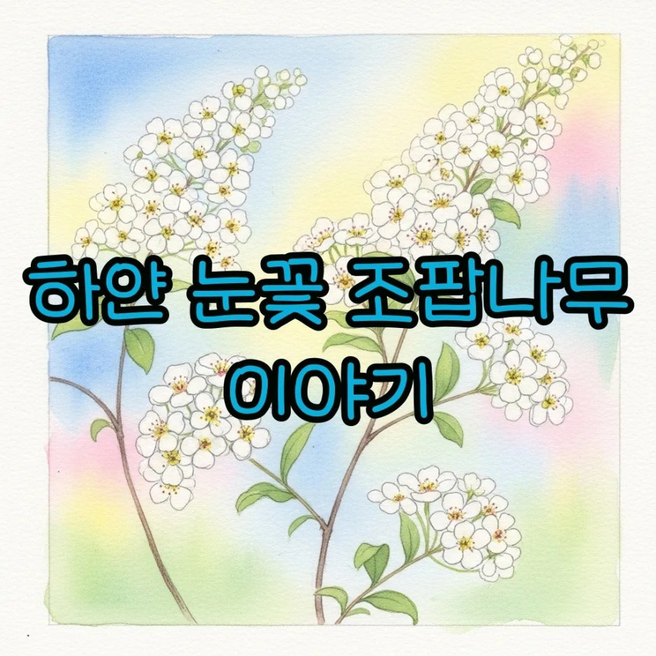 따스한 햇살 아래 하얗게 핀 조팝나무 꽃 풍경
