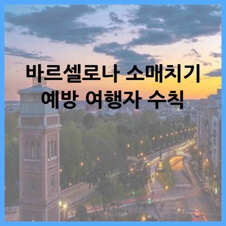 바르셀로나 소매치기 예방 여행자 수칙