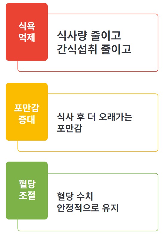 삭센다효과