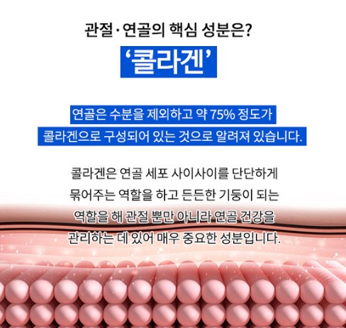 관절연골 통증 영양제 섭취로 개선하는 방법