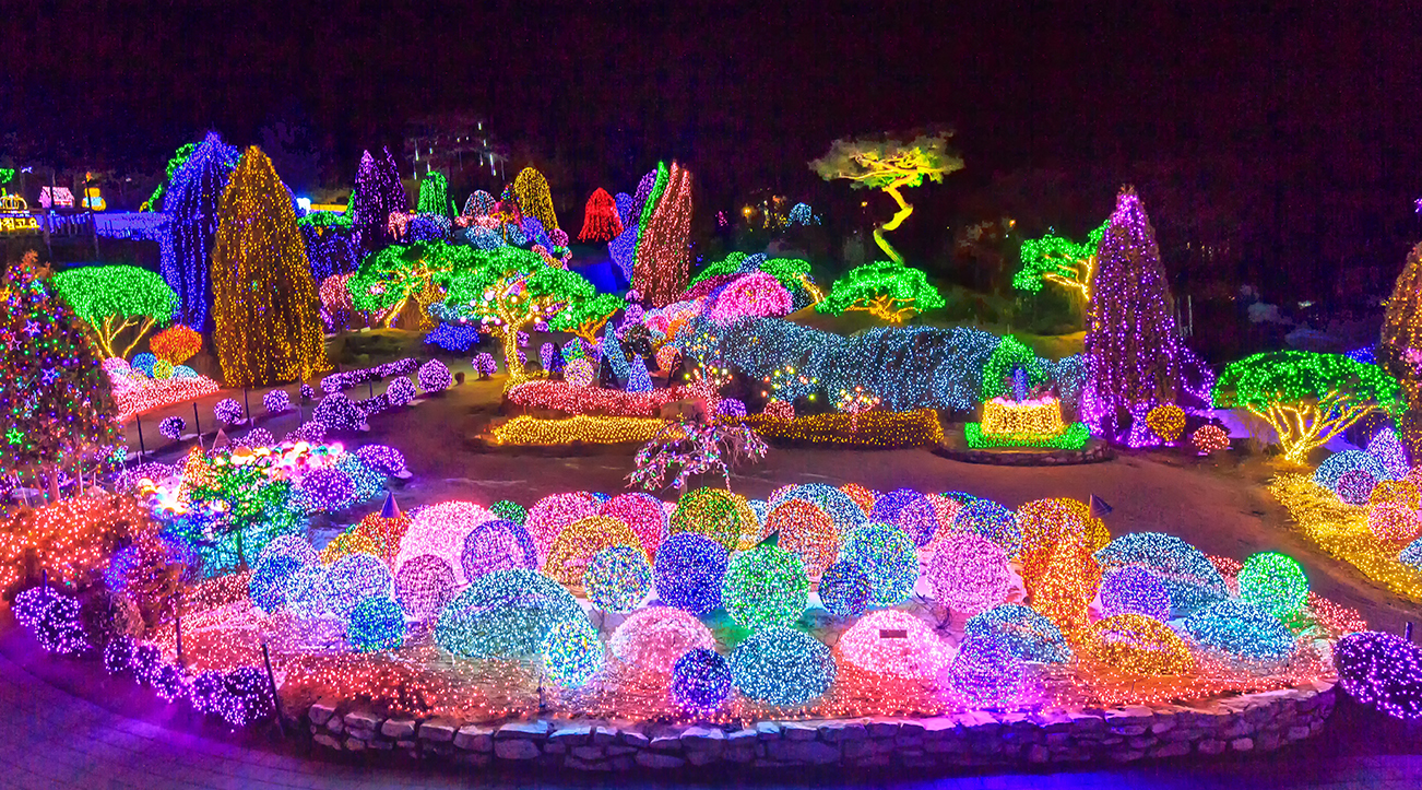 10월 데이트 여행지 아침고요수목원