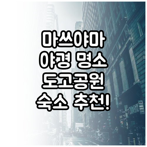 마쓰야마 야경 명소 도고공원 전망대 ..