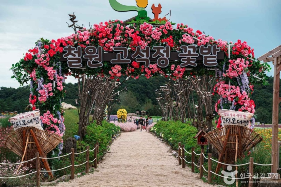 철원 고석정 가을 꽃밭이란?