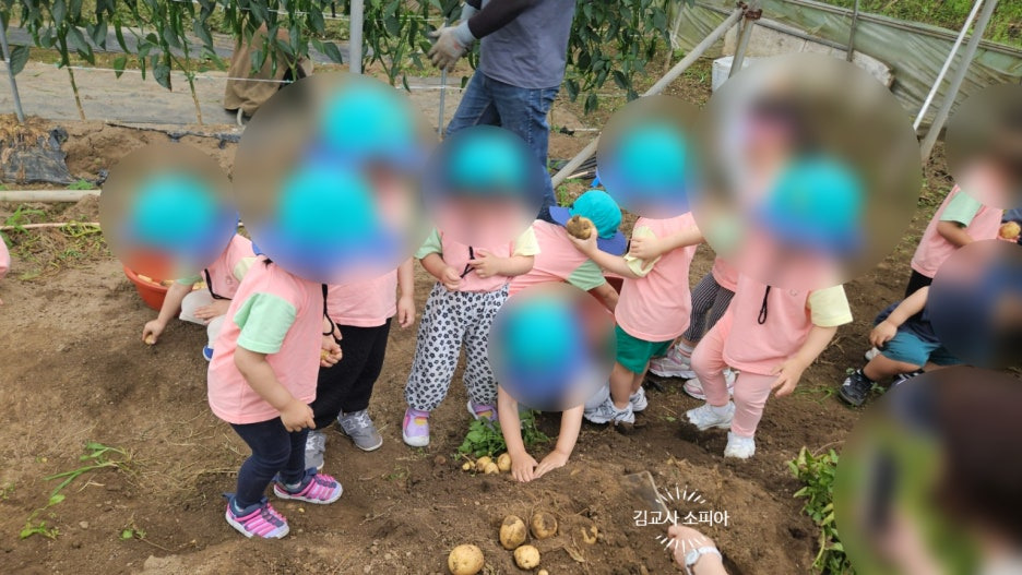 "아이랑 감자 수확 체험 가봤더니… 놓치면 아쉬운 준비물 까지 총정리!"