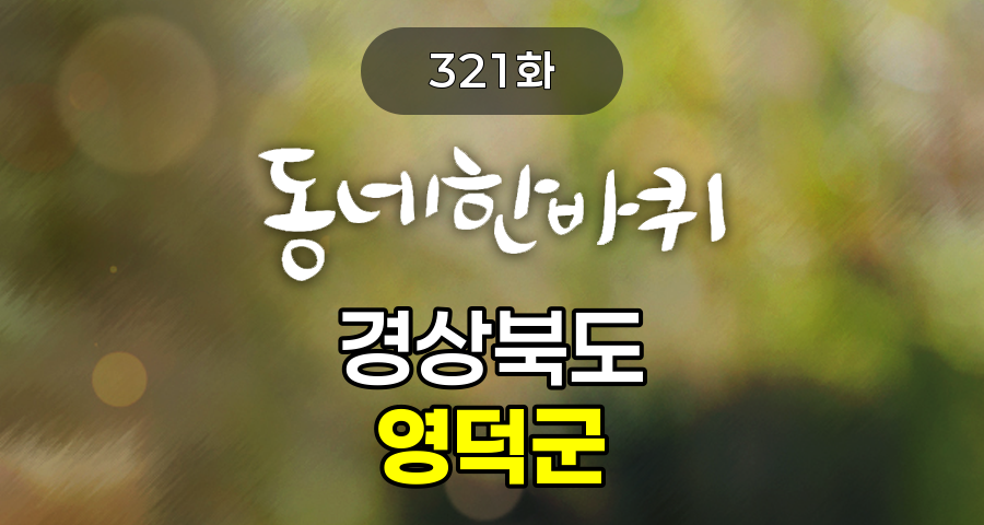 KBS 동네한바퀴 경상북도 영덕군 321화 2025년 5월 24일 맛집 식당 업체 촬영장소 촬영지 정보, 동심의 바다에 되돌아온 머구리 형제, 여성 서퍼의 부흥해변 도전기, 아픈 아들 때문에 시작한 폐그물 공예, 화마의 아픔을 딛고 일어서는 노물리 마을, 바닷속이 은행이라는 돌미역 해녀, 암석과 파도가 만들어낸 푸른 바닷길 「블루로드」, 축산항의 별미, 물가자미에 50년 손맛을 더하다, 샤카서프, 강구항, 죽도산, 축산항, 고래불 해수욕장, 영덕문화관광재단(어반드로잉 모임), 부흥해변