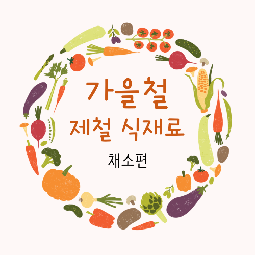 가을철 제철 채소 썸네일