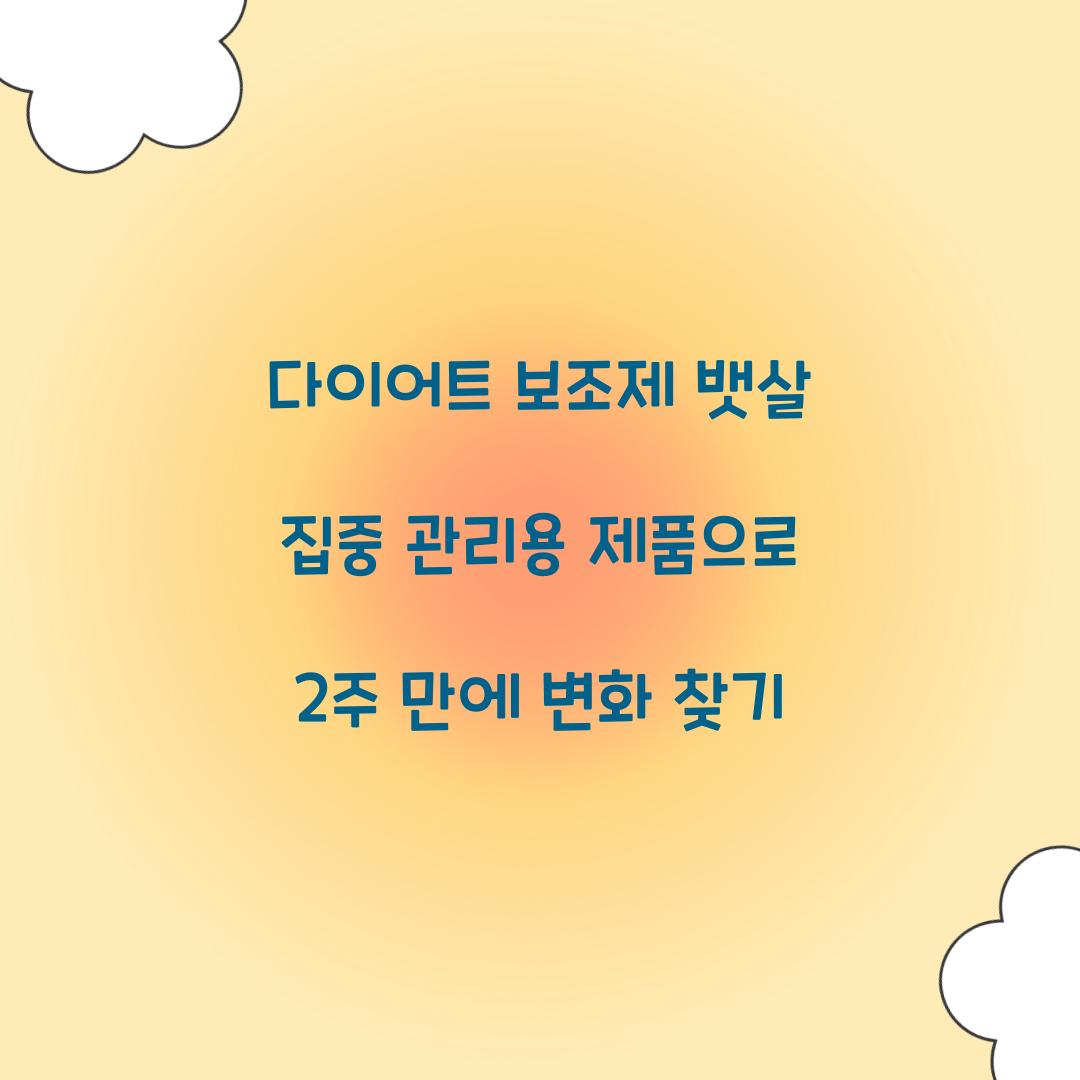 다이어트 보조제 뱃살 집중 관리용 제품