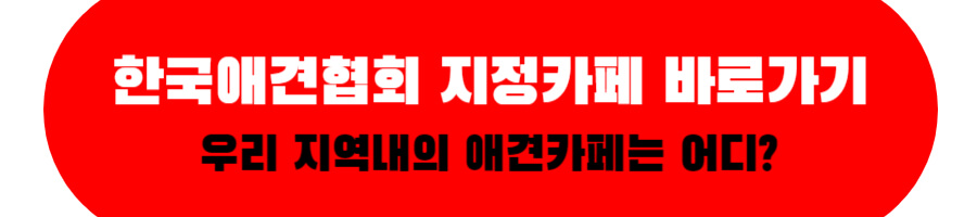 한국애견협회 지정가페 바로가기