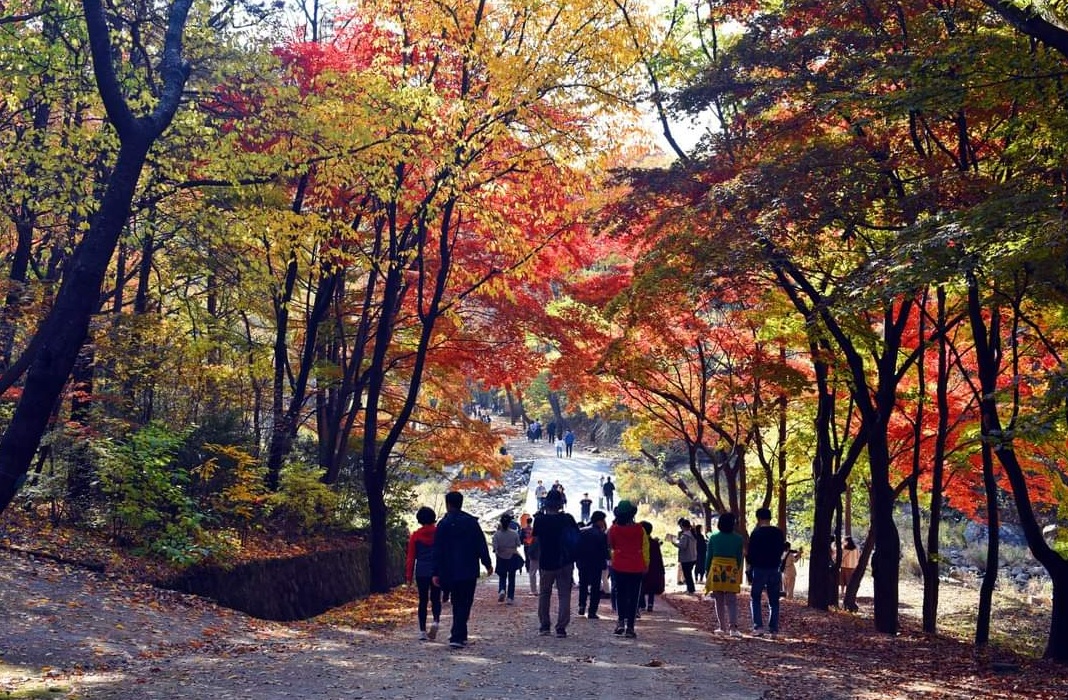 서울대 안양수목원