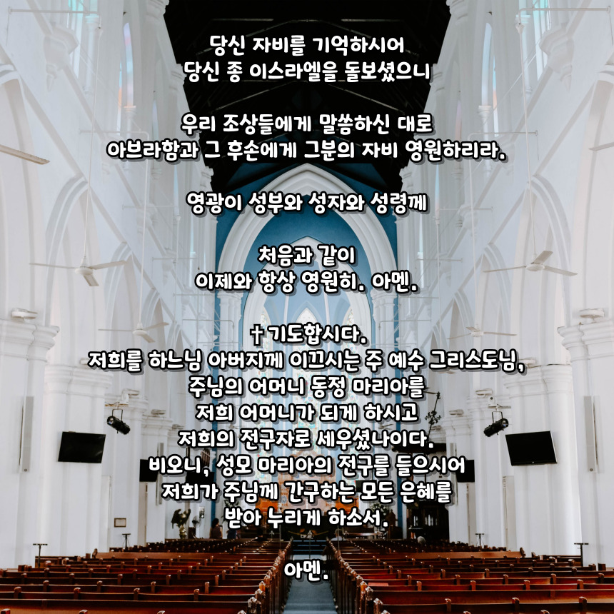 천주교 성모 성월 기도문_성월 기도