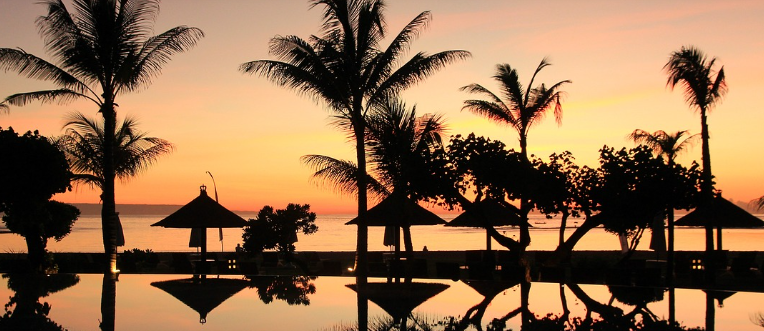 발리 우봇 사진