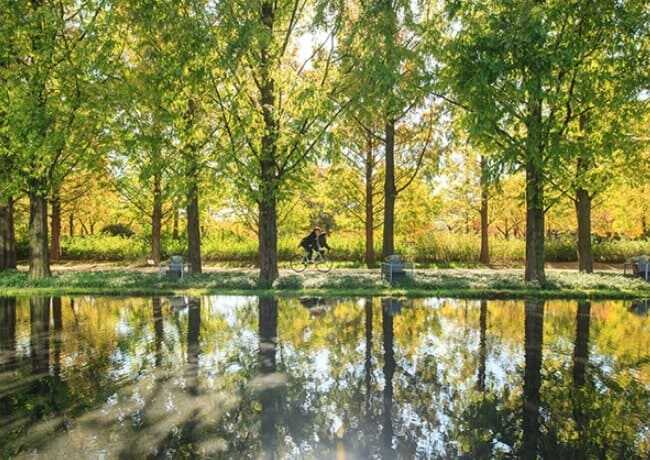 서울숲 거울 연못