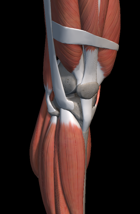 무릎 관절 통증 원인 치료법 총정리
