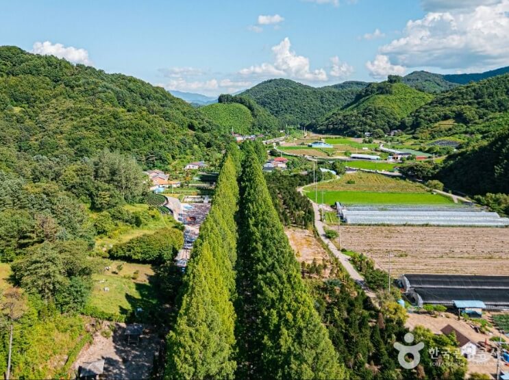 진안 가볼만한곳 베스트 10