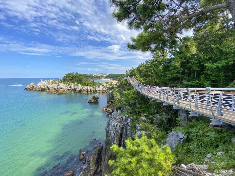 동해 추암 출렁다리