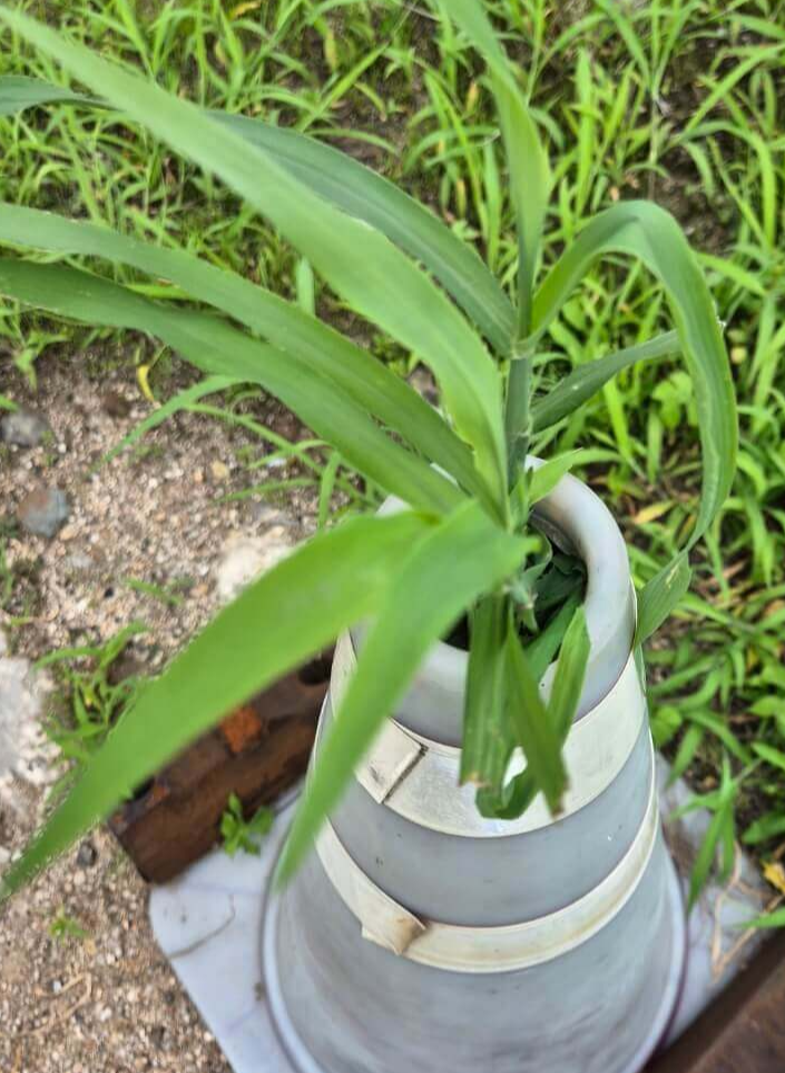 끈기 명언 인내 도전 꾸준함 