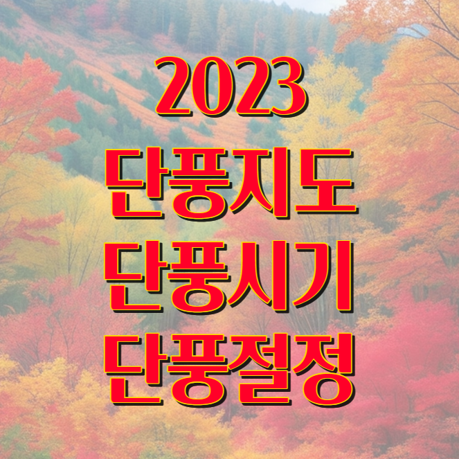 2023 단풍