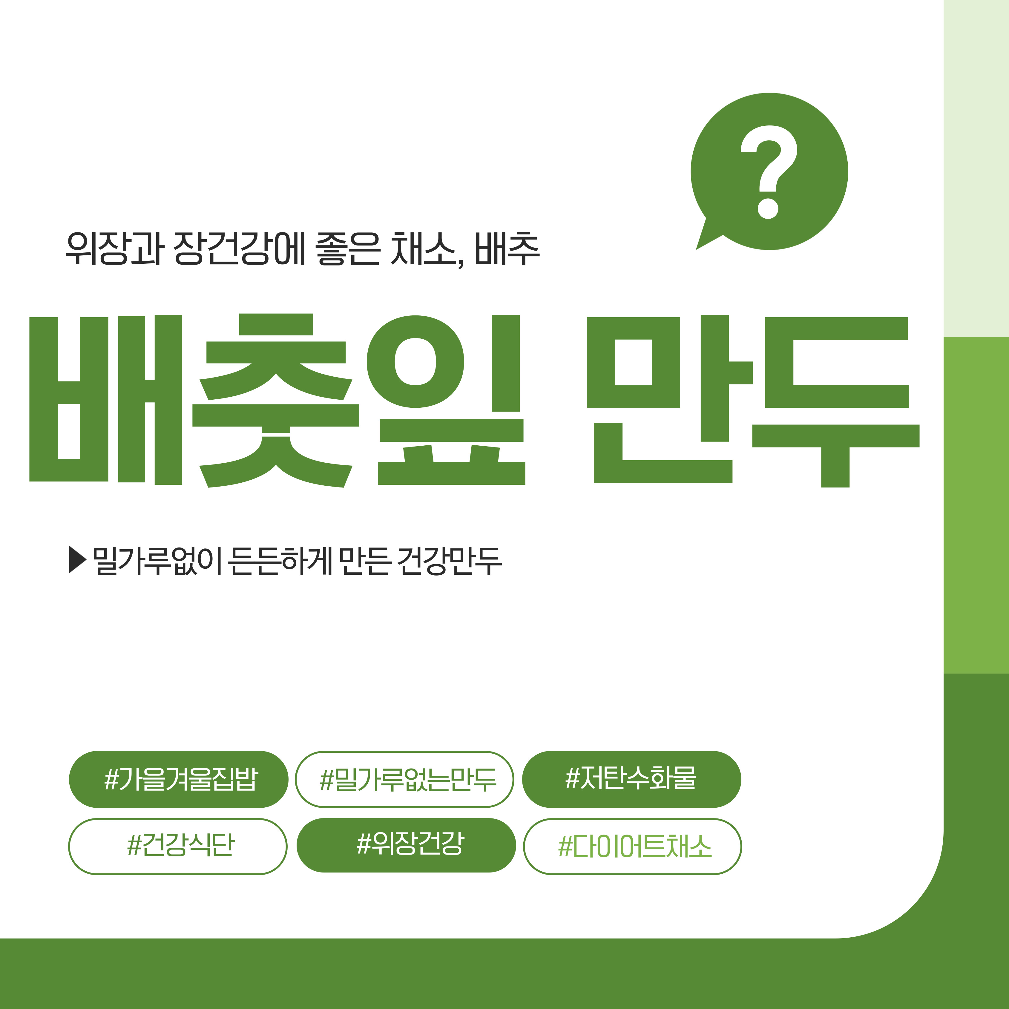 배춧잎만두