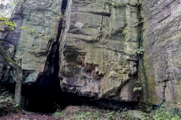 백양산 등산코스