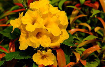 데칼코마니 뜻 쉽게 이해하기 4