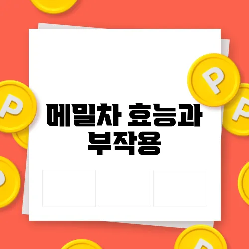 메밀차 효능과 부작용