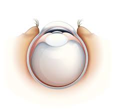 라식과 라섹 차이점