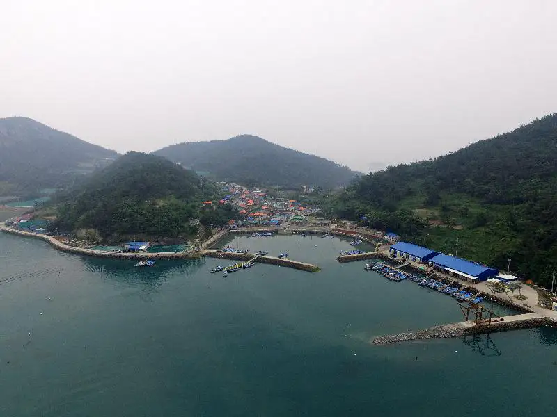 금일도