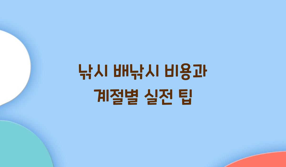 낚시 배낚시 비용 계절별 팁