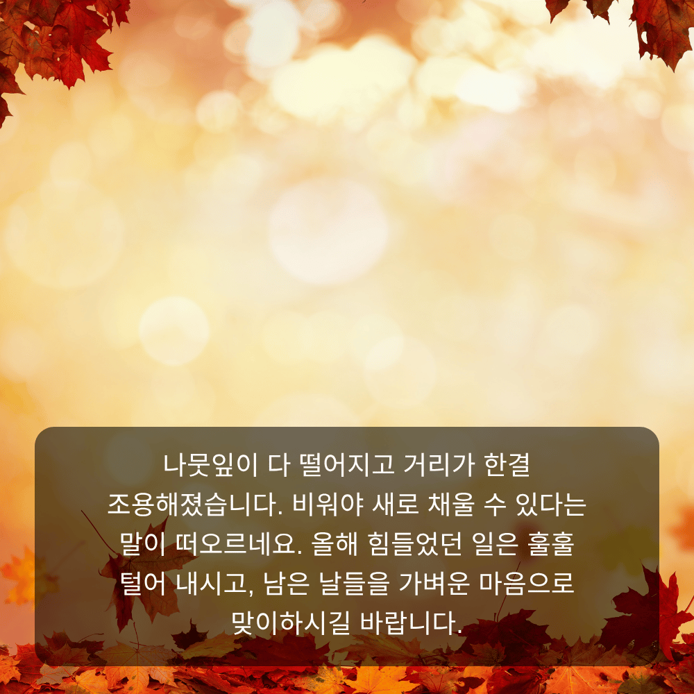 11월 인사말 이미지 4 - 낙엽 지는 늦가을, 비워야 새로 채울 수 있다
