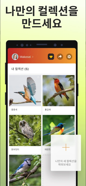 조류 이름 찾기 어플, 새 이름 검색하기, 조류 식별, Picture Bird