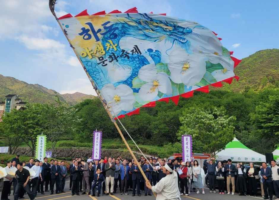 하동야생차문화축제