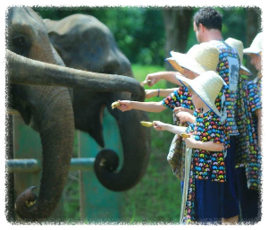 칸타 코끼리 보호구역