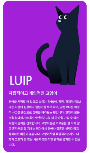 비긴즈 BLOOM 검사 테스트 링크 연애성향검사 MBTI 방법 고양이 낙타 돌고래2