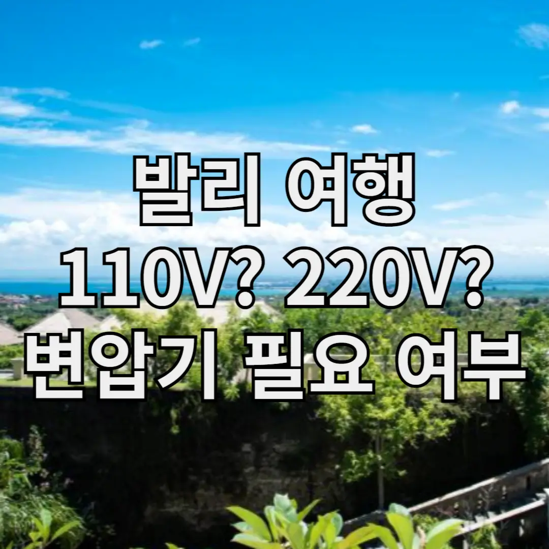 발리 여행 110V? 220V? 변압기