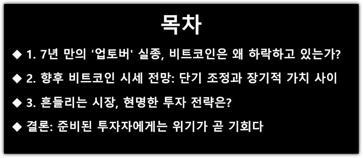 오늘, 11월 3일, 비트코인 급락 이유, 공포탐욕 지수, 시세 전망, 투자 전략 목차