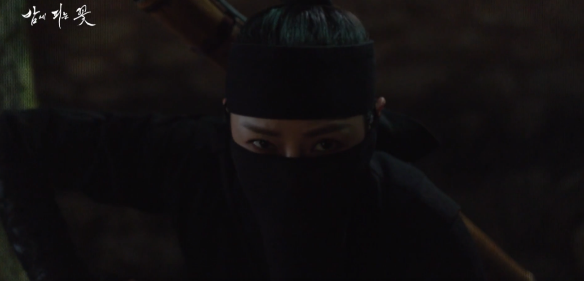 밤에 피는 꽃