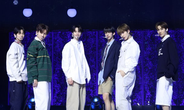 팬덤별 선호 K팝 스타일 차이 (보컬 중심, 퍼포먼스 중심)