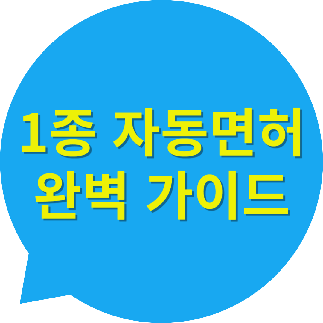 2025 1종 자동면허 완벽 가이드