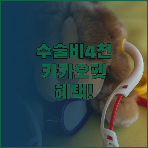 수술비 최대 4000만원, 카카오페이..