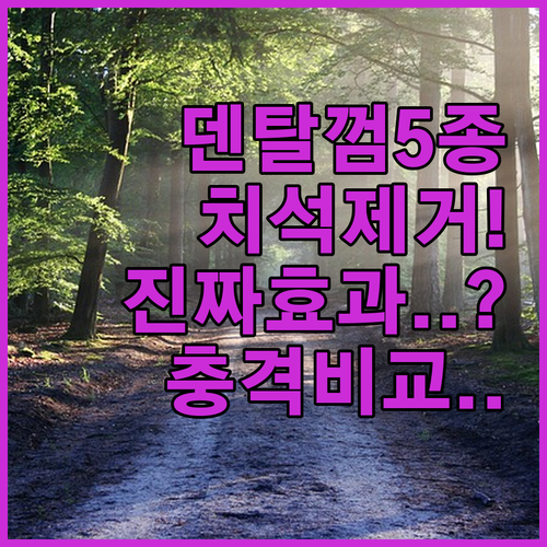 강아지 덴탈껌 5종 비교 분석 및 치..