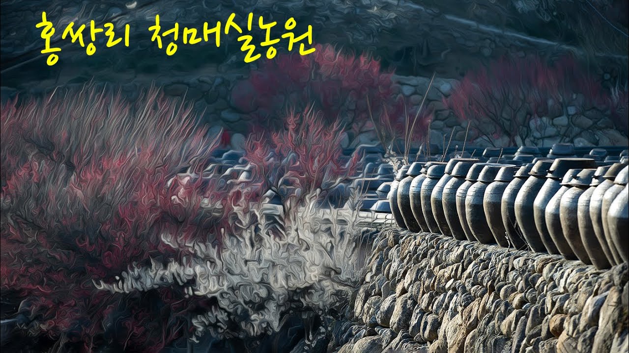 광양 가볼만한곳 - 홍쌍리 청매실농원