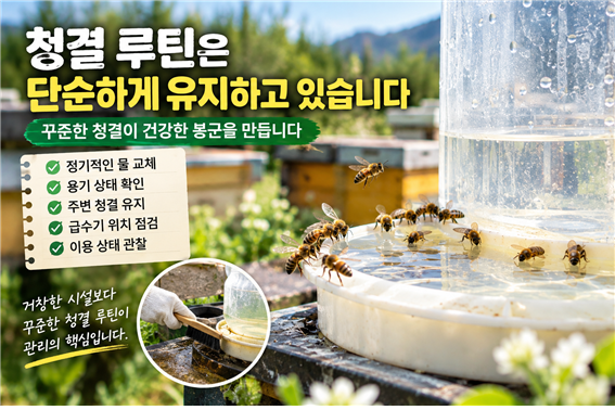 급수기를 이용하는 꿀벌 모습